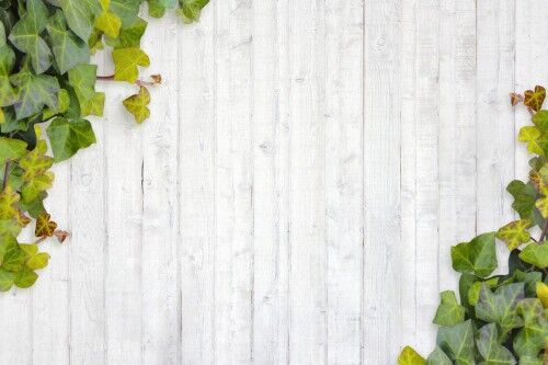 外壁塗装で叶えるおしゃれな住まい！色とデザイン完全攻略ガイド